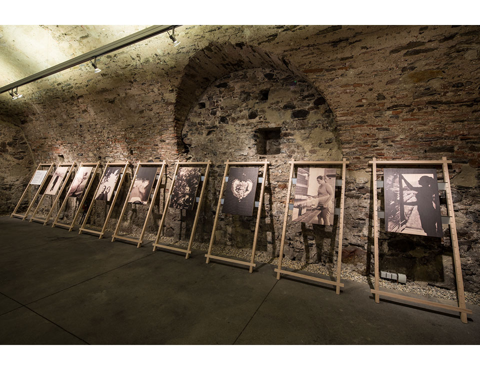 Ausstellung in Schloss Spitz