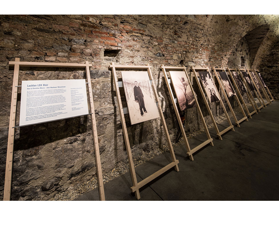"Von Reben und Rieden" Schloss Spitz, Wachau 2013