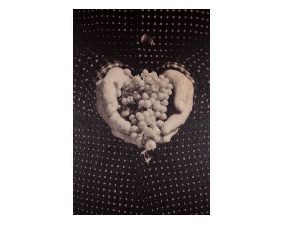 Drei Echte Wachauer - Gelber Muskateller, Ilse & Kalmuk