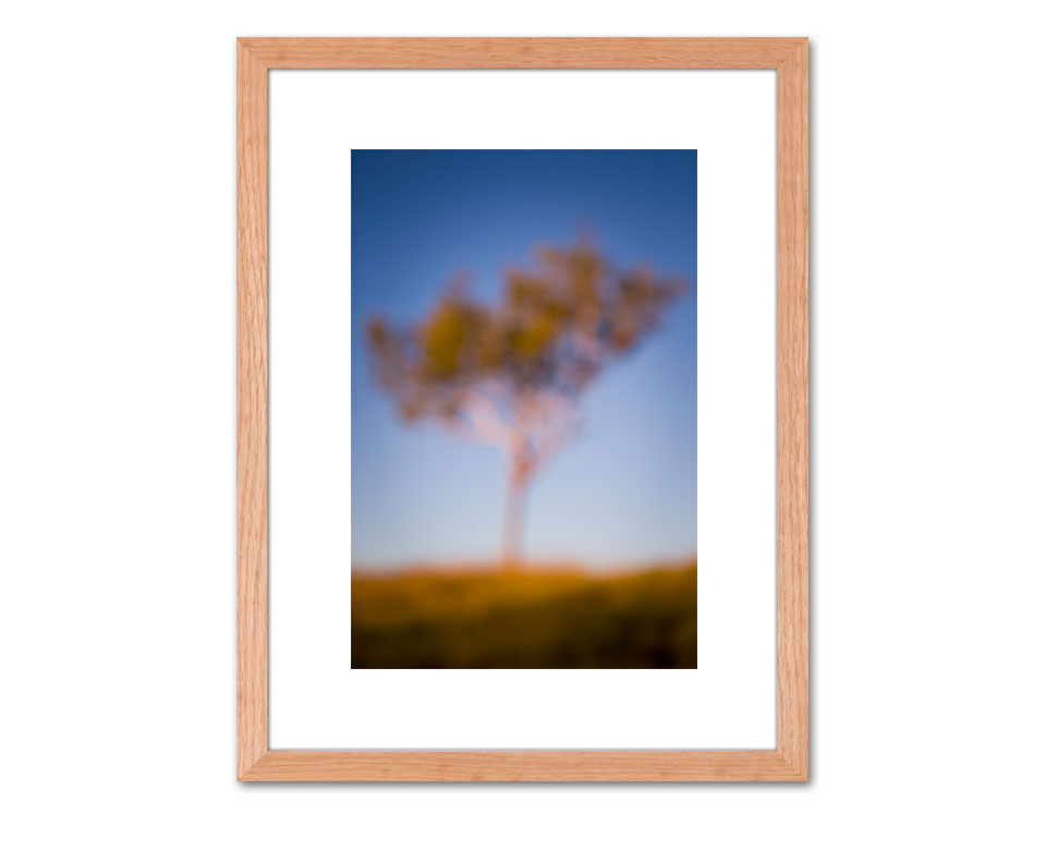 Belburn Creek WA 2007