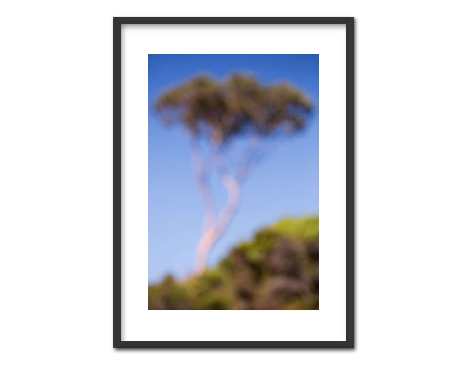 Binalong Bay TAS 2014 