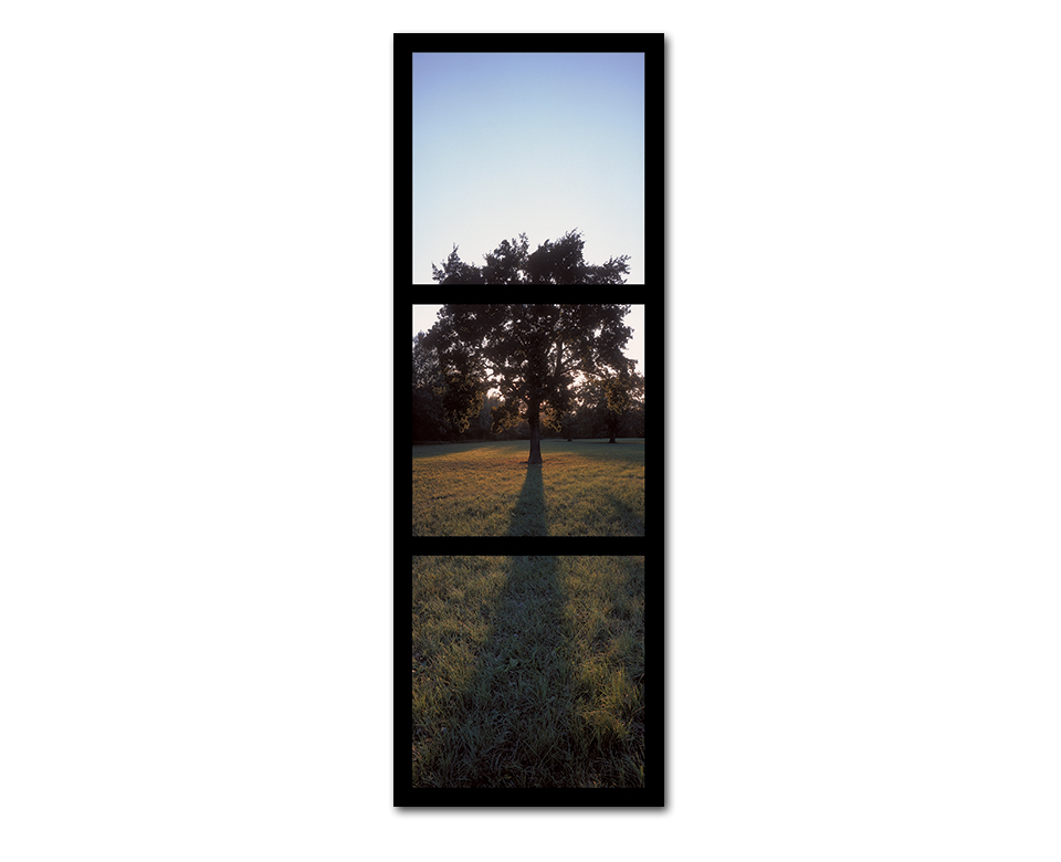 Donau Au NP ~ 70x200cm