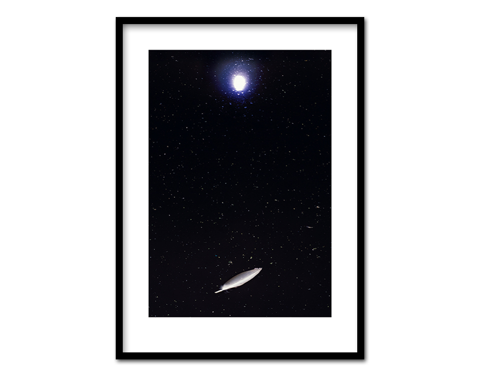 Ausgebadet ~ 53 x 73 cm