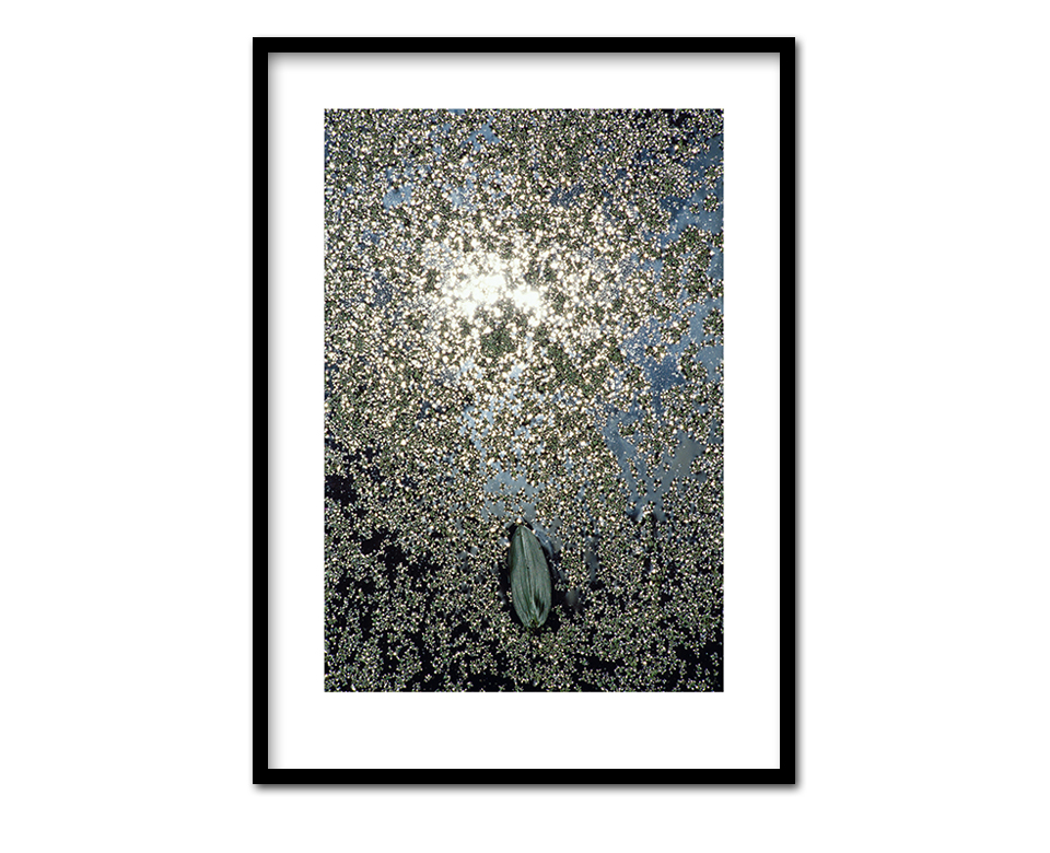Ausgebadet ~ 53 x 73 cm