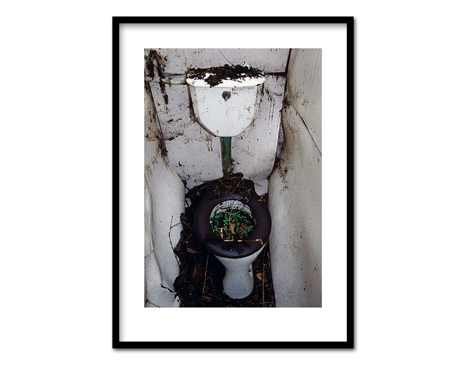Ausgebadet ~ 53 x 73 cm