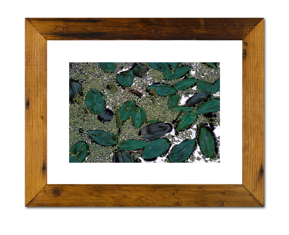 Ausgebadet ~ 48 x 38 cm