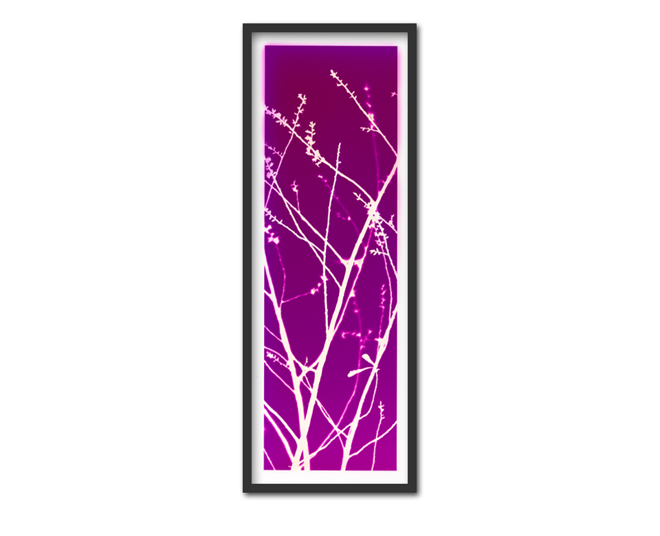 Abbey garden ~ 30x75cm