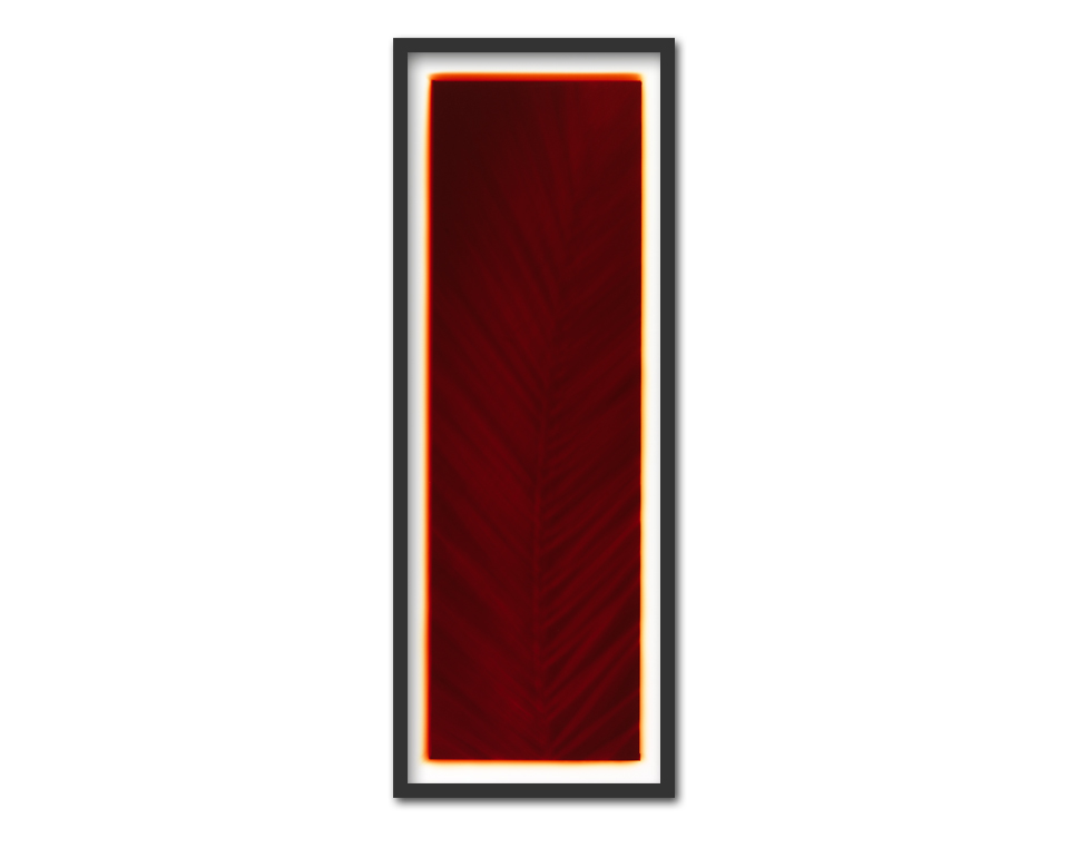 Palm leaf (moonlight exposure) ~ 30x75cm