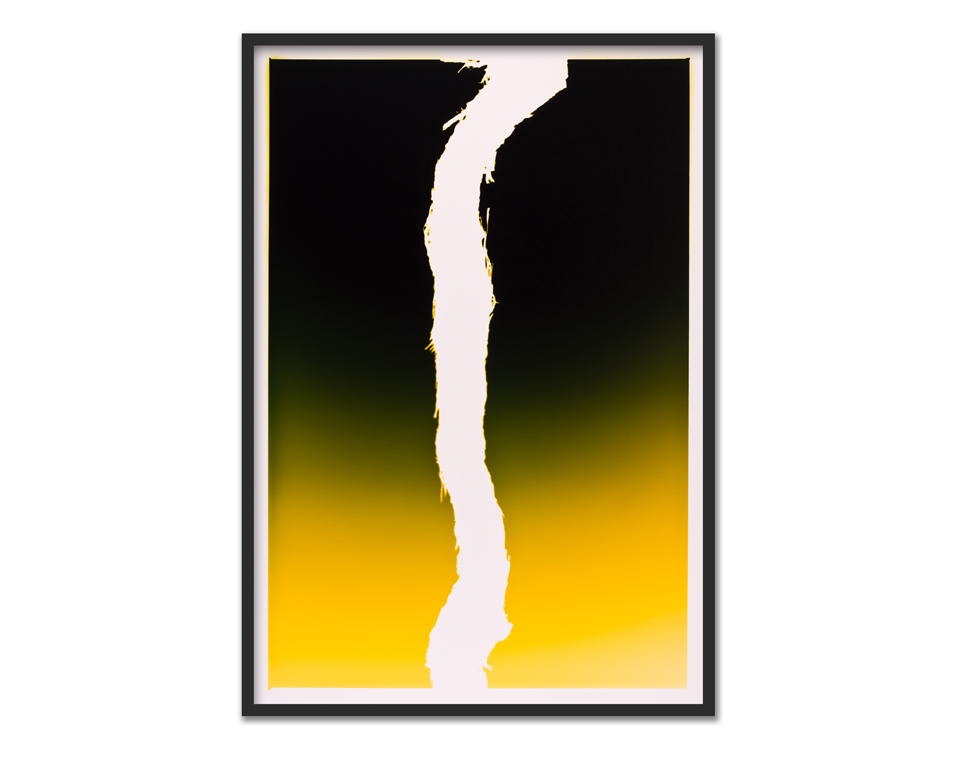 Vinogram ~ 75x110cm